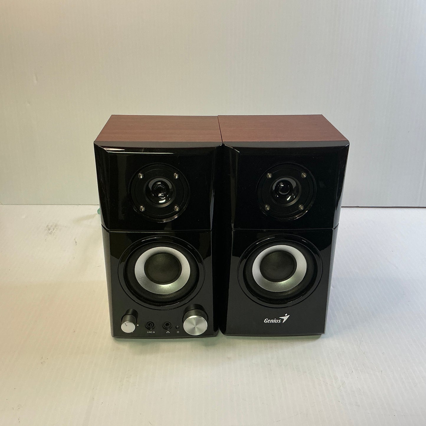 Genius Hi-Fi Wood Speakers