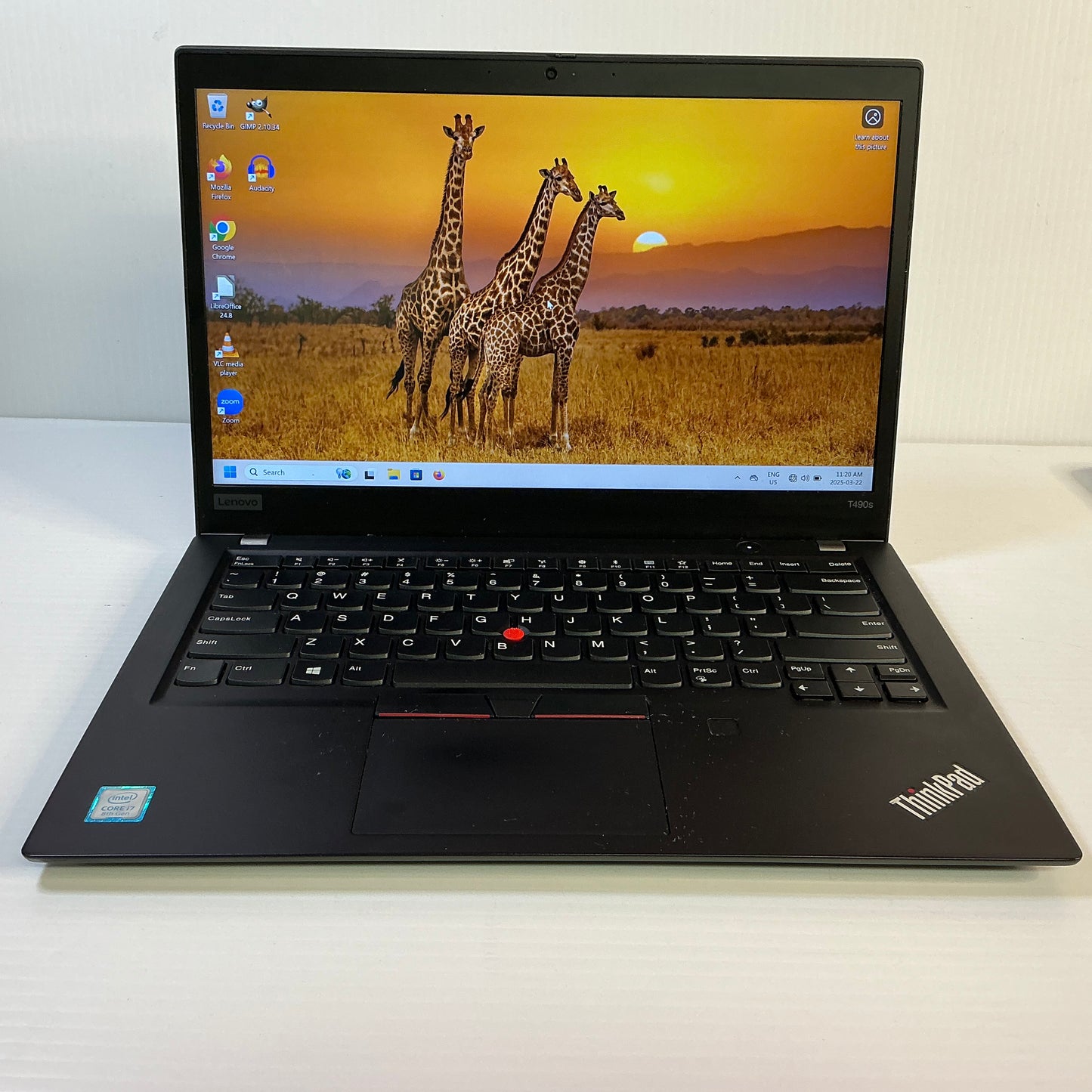Lenovo ThinkPad T490s (C)