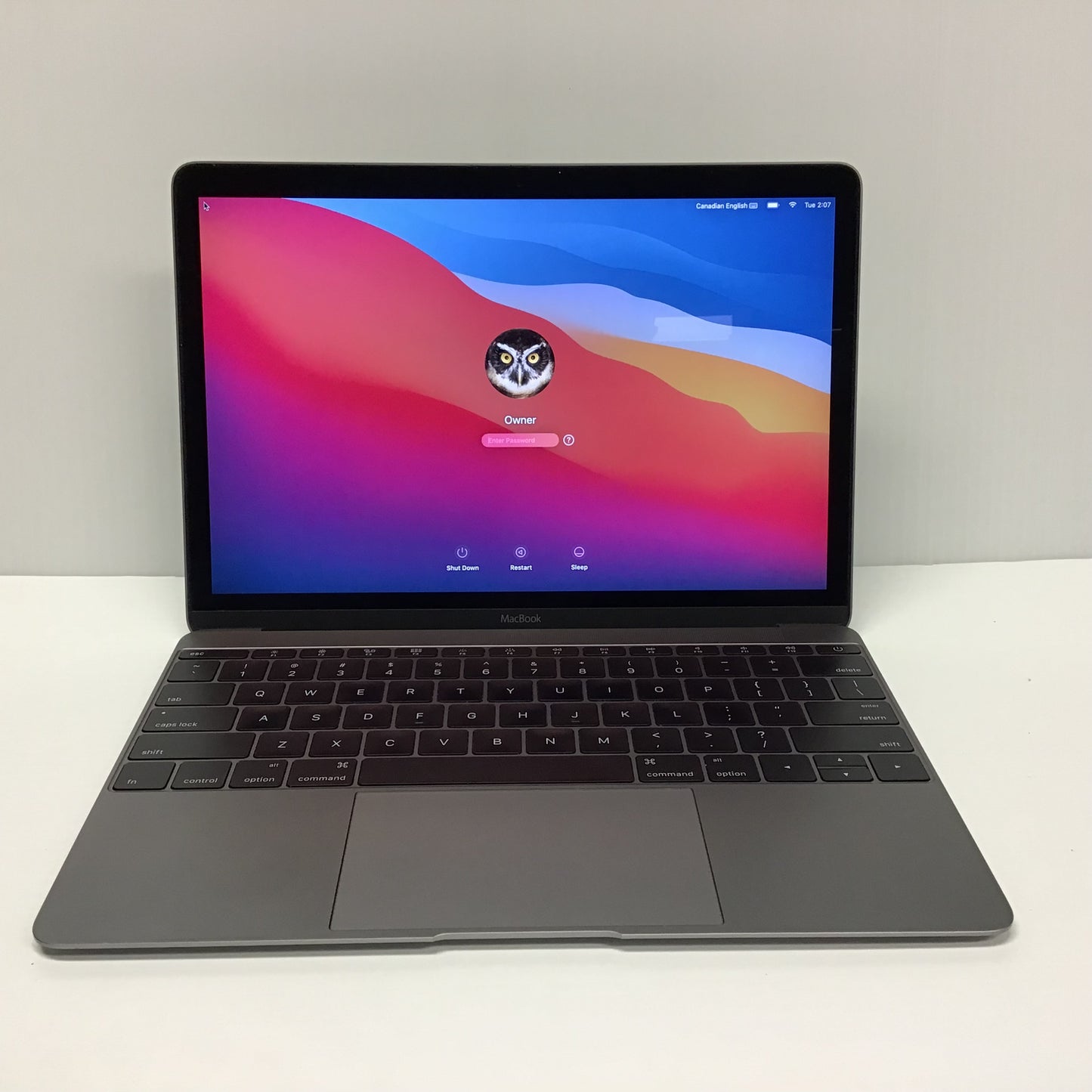 Apple MacBook [Early 2015]