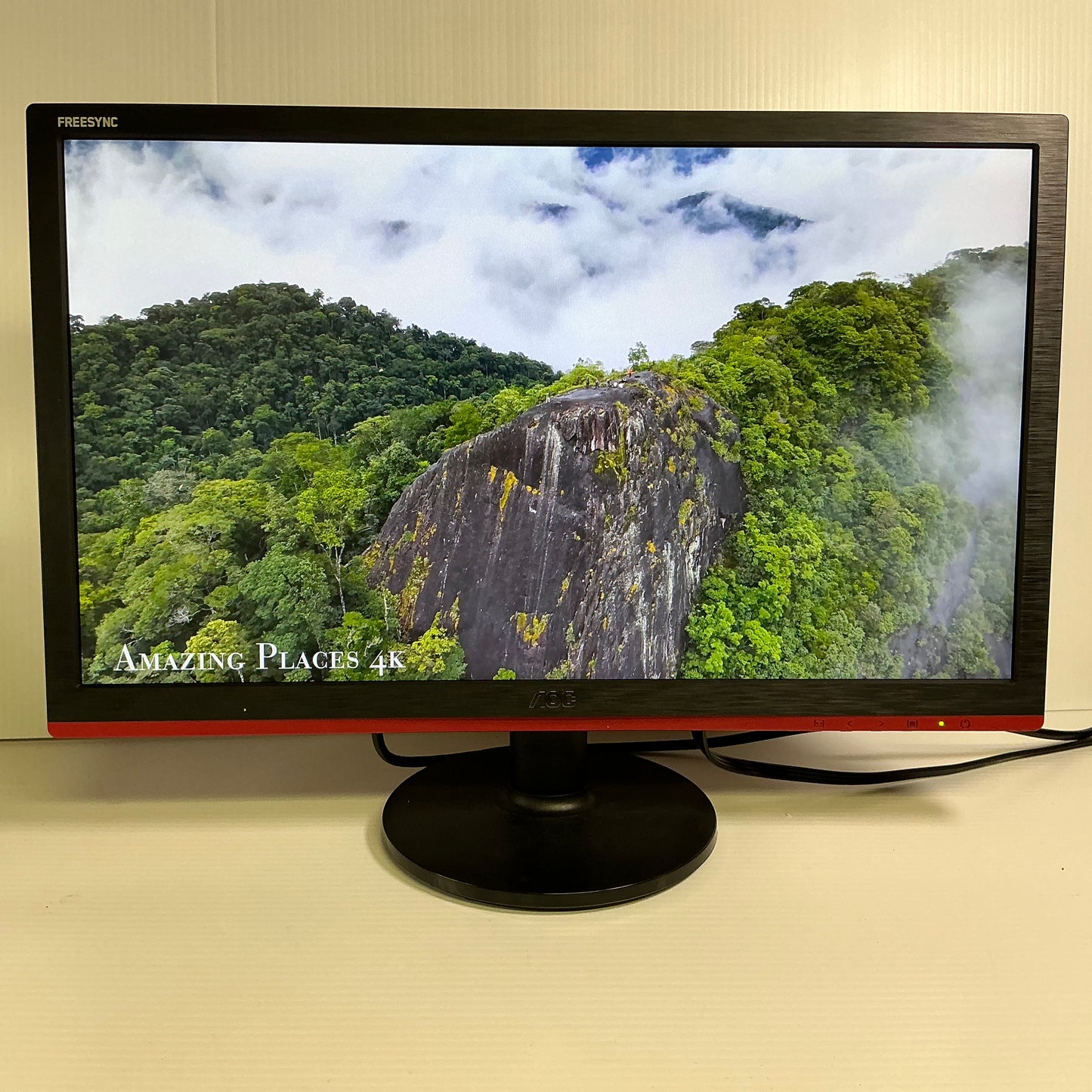 AOC FreeSync Gaming Monitor