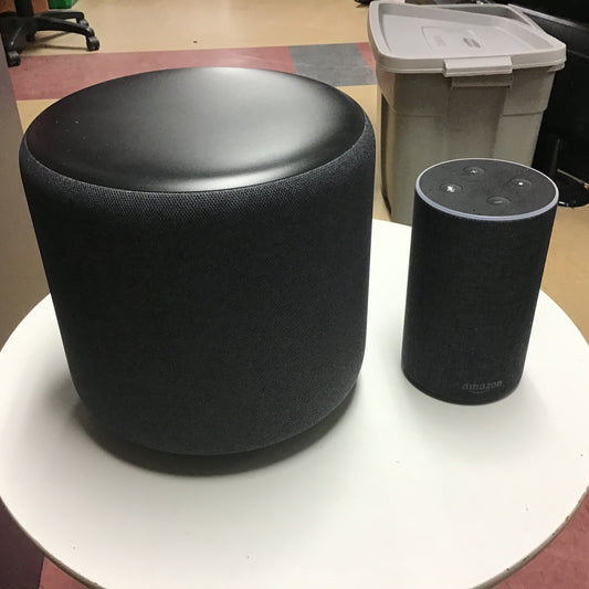 Amazon Echo with subwoofer